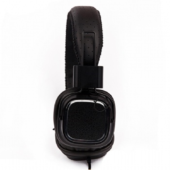Stereo Headphones with Mic H214